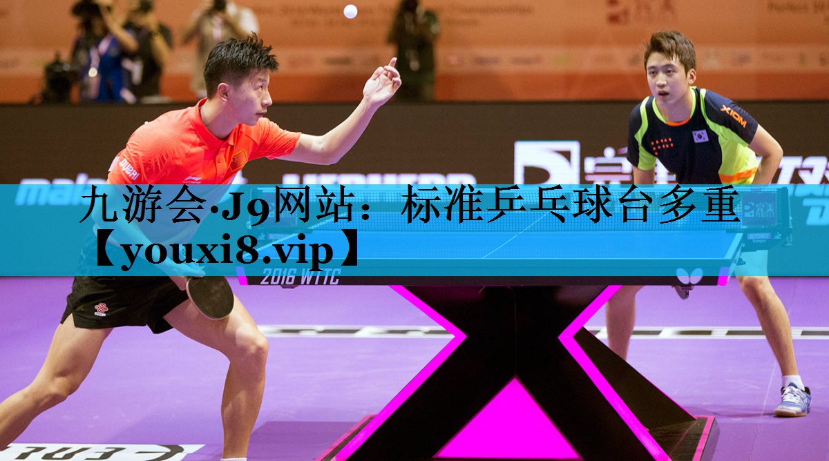 标准乒乓球台多重