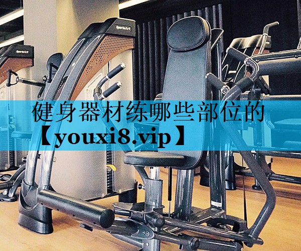 健身器材练哪些部位的